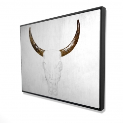 Bull skull with brown horns