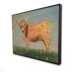 Daisy the highland cow