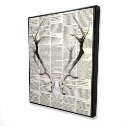 Bois de cerf sur papier journal