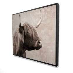 Beautiful highland cattle sepia