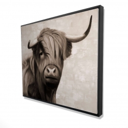 Highland cattle sepia