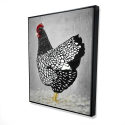 Black and white wyandotte hen