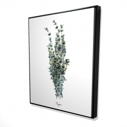 Thyme leaves bundle - fr