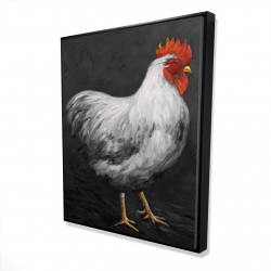 Grey rooster 2