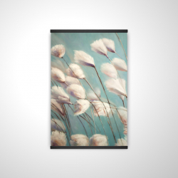 Cotton grass flowers in the wind