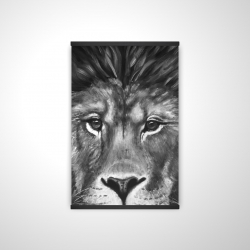 Portrait de lion