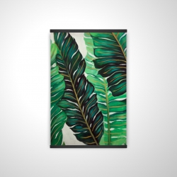 Feuilles de plantes exotiques