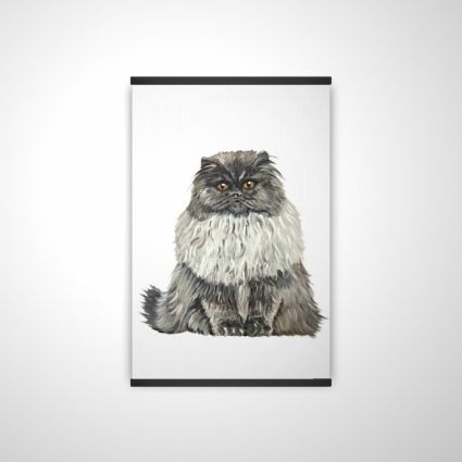 Blue gray persian cat