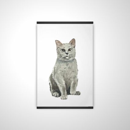 British shorthair cat