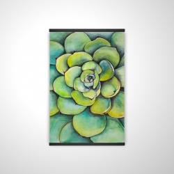 Watercolor succulent plant