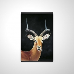 Antilope