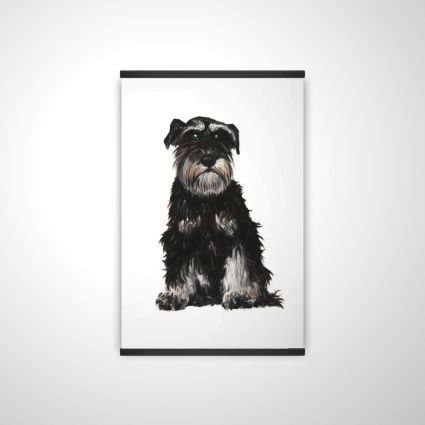 Miniature schnauzer