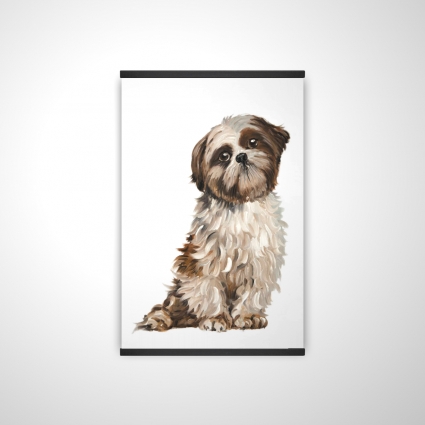 Shih-tzu