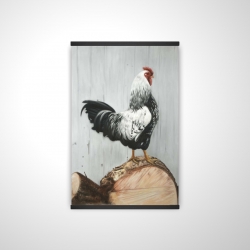 Wyandotte rooster