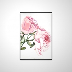 Watercolor pink roses