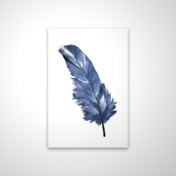 Plume bleue