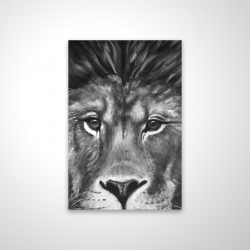 Portrait de lion