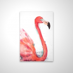 Flamant rose éclaboussant