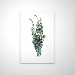 Thyme leaves bundle