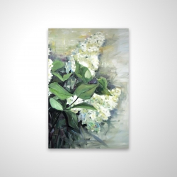 White lilacs