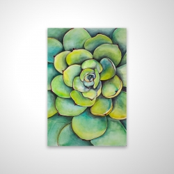 Watercolor succulent plant