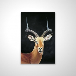 Antilope