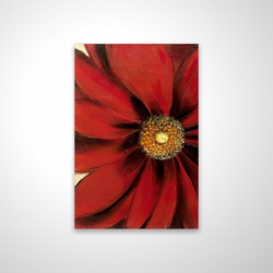 Marguerite rouge