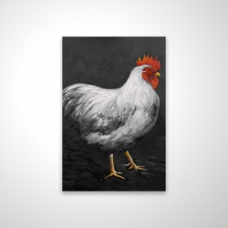 Grey rooster 2