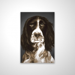 Brown english springer spaniel