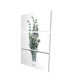 Thyme leaves bundle - fr