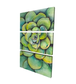 Watercolor succulent plant