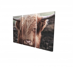 Desaturated highland cow