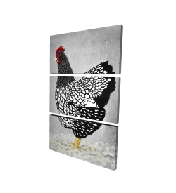 Black and white wyandotte hen