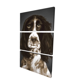 Brown english springer spaniel