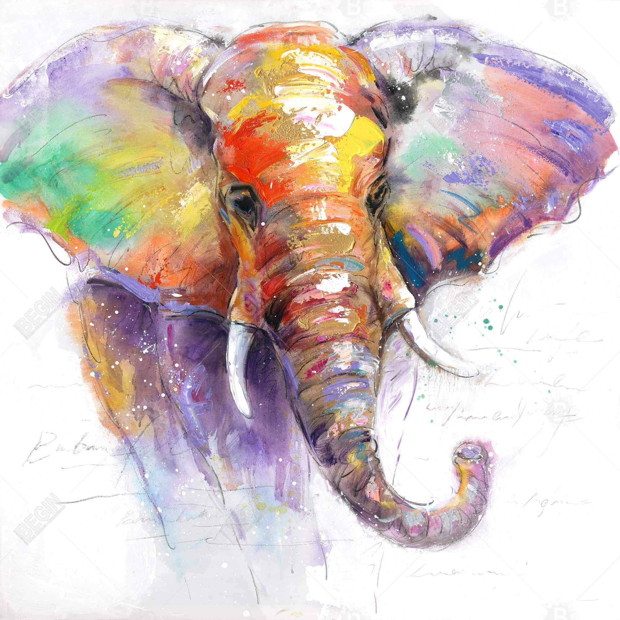 Magnifique éléphant coloré