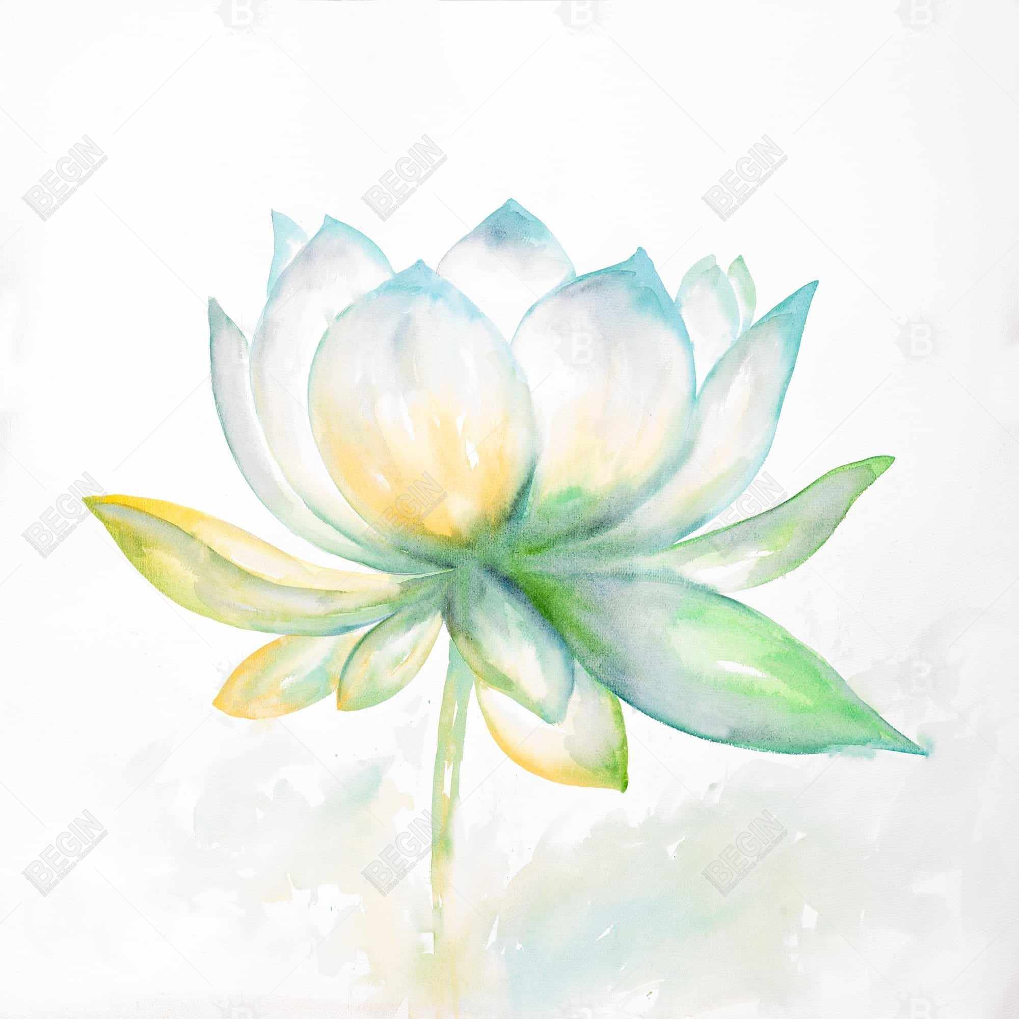 Fleur de lotus