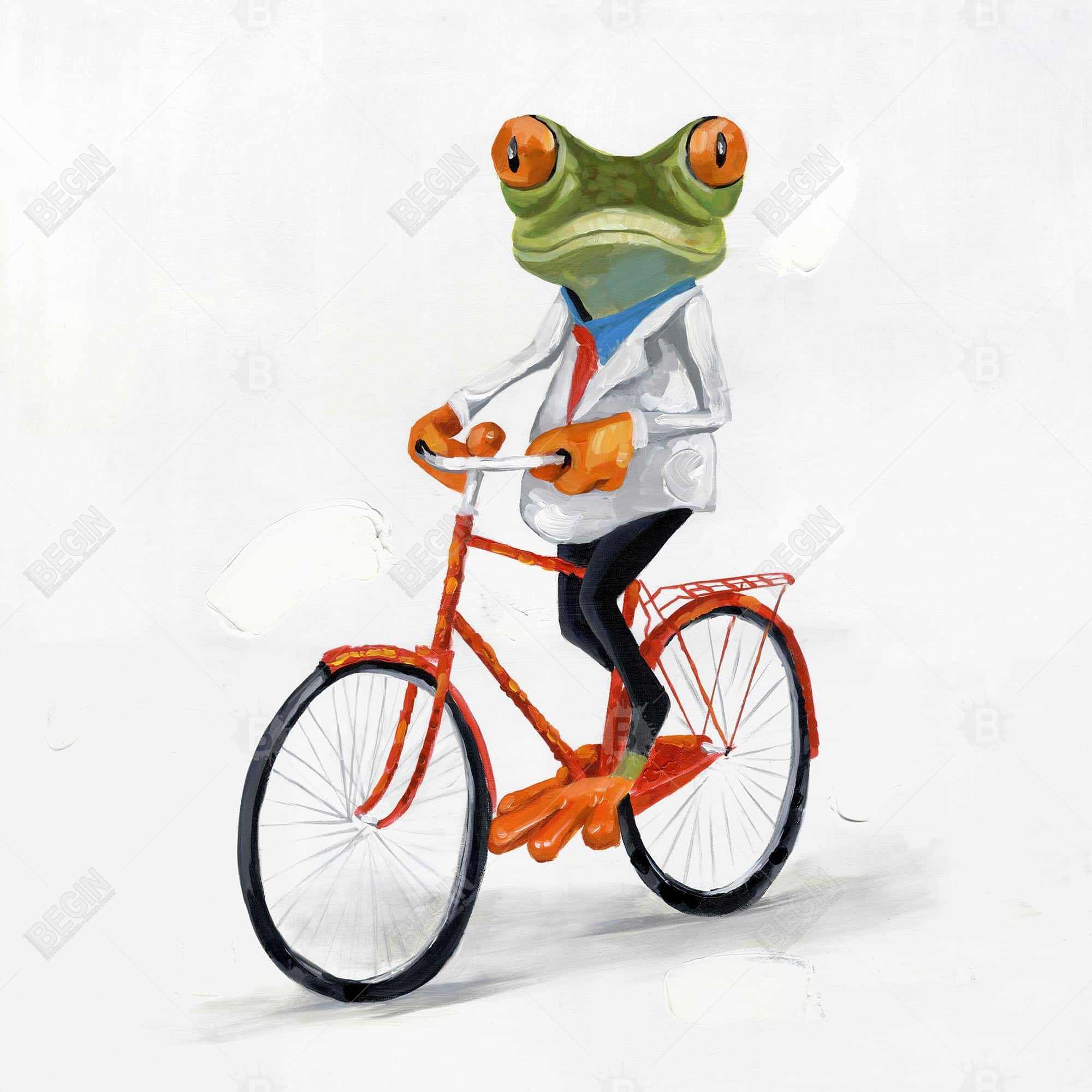 Drole de grenouille à vélo