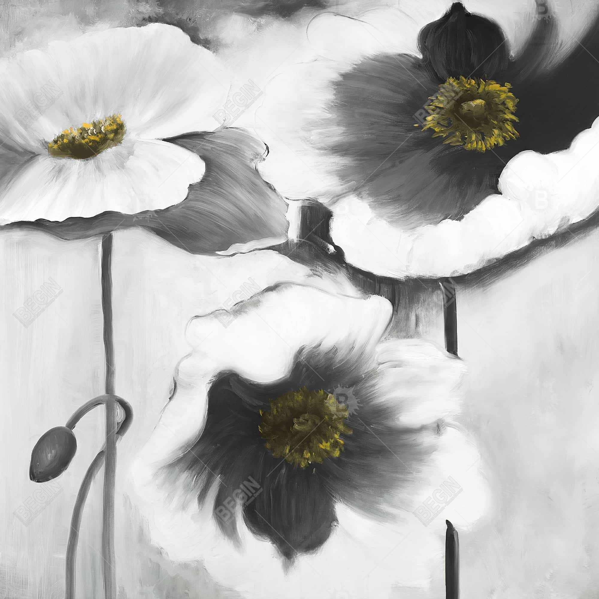 Fleurs en noir et blanc