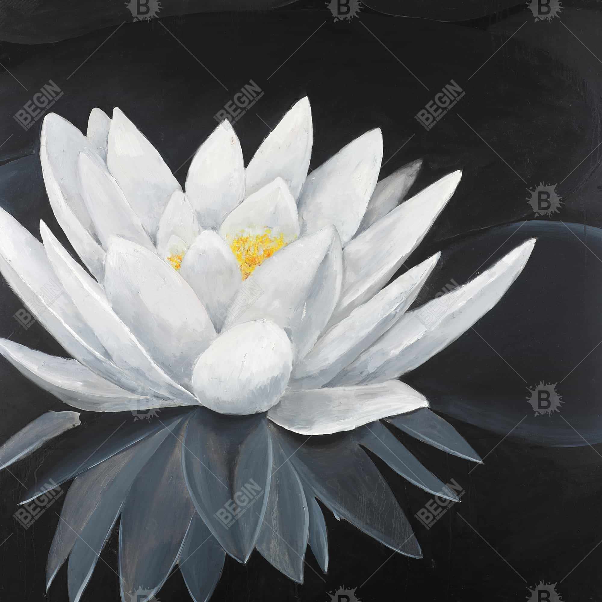 Fleur de lotus et sa réflexion