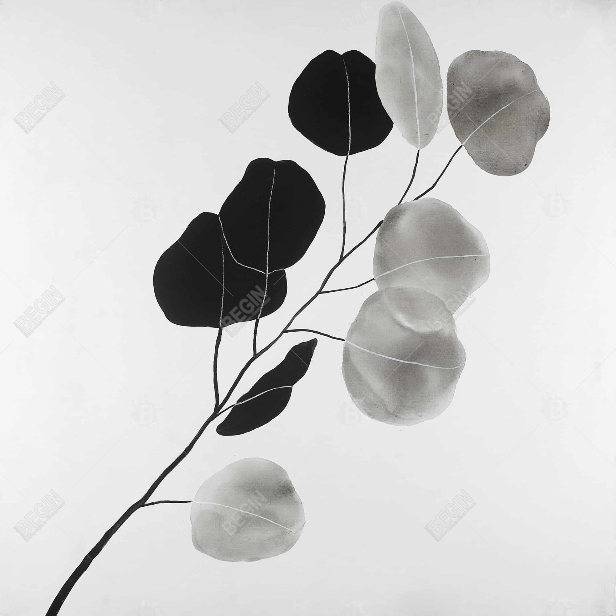 Grayscale branch with round shape leaves