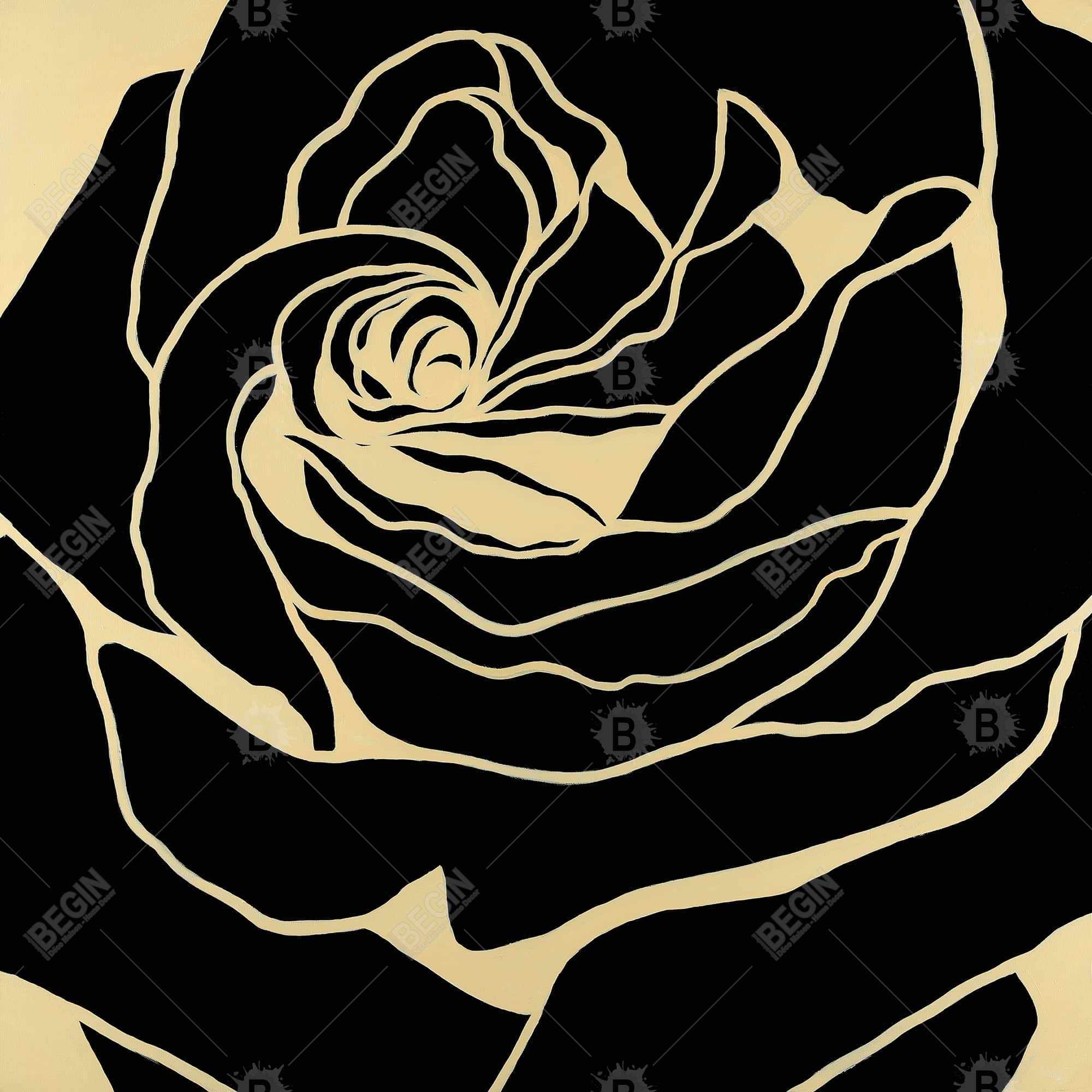 Silhouette of a rose