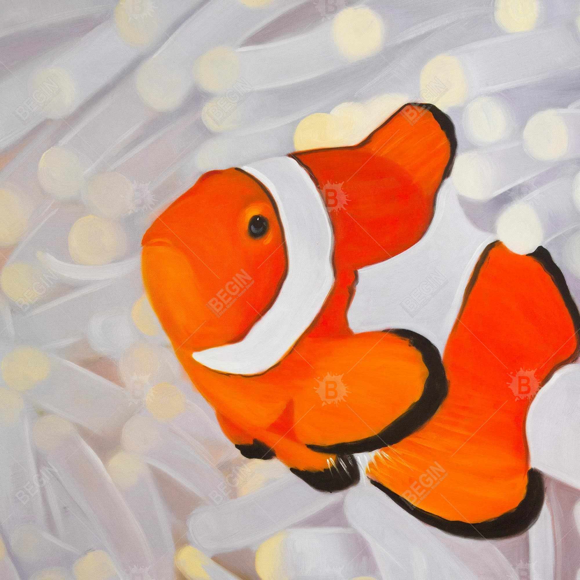 Clownfish