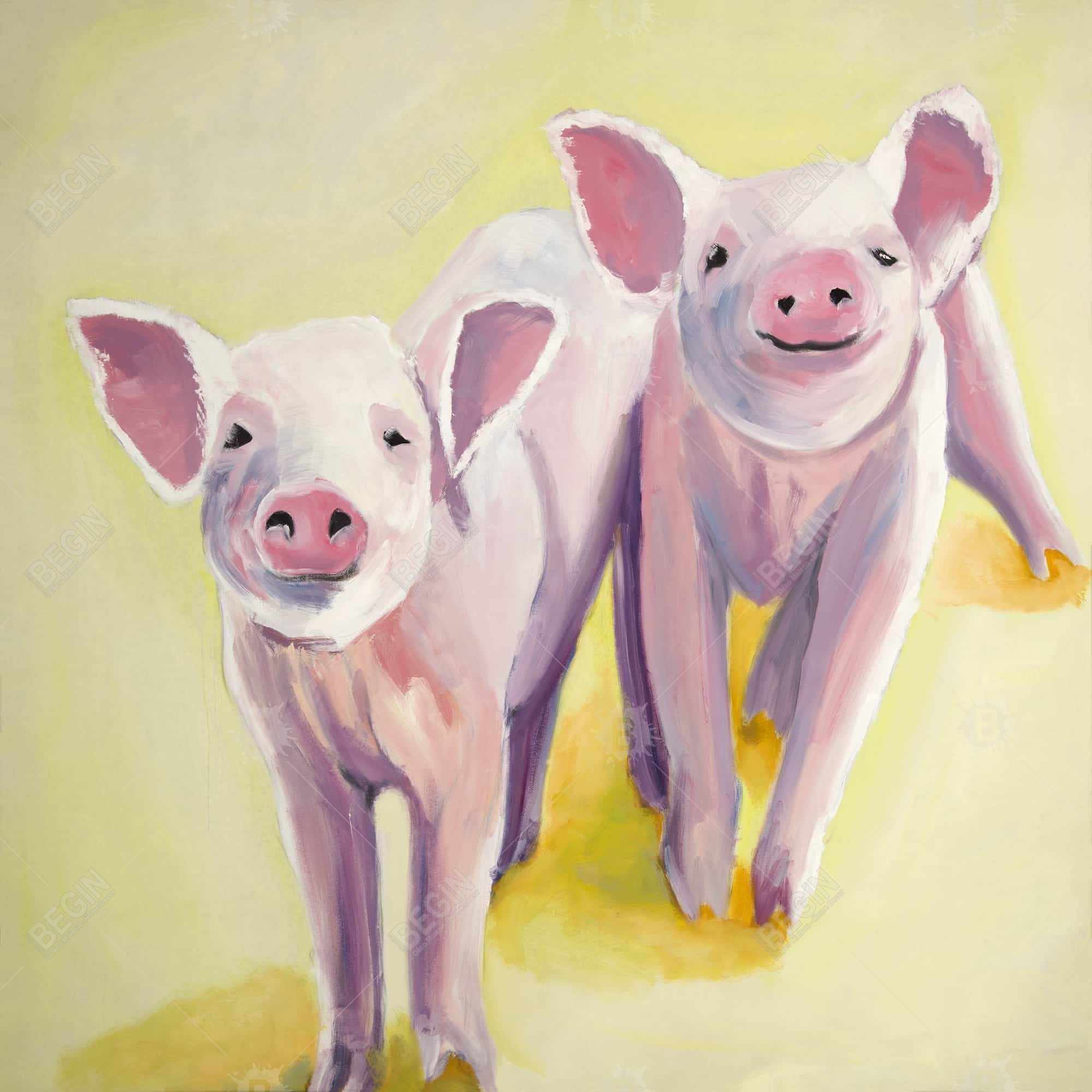 Two smiling pigs