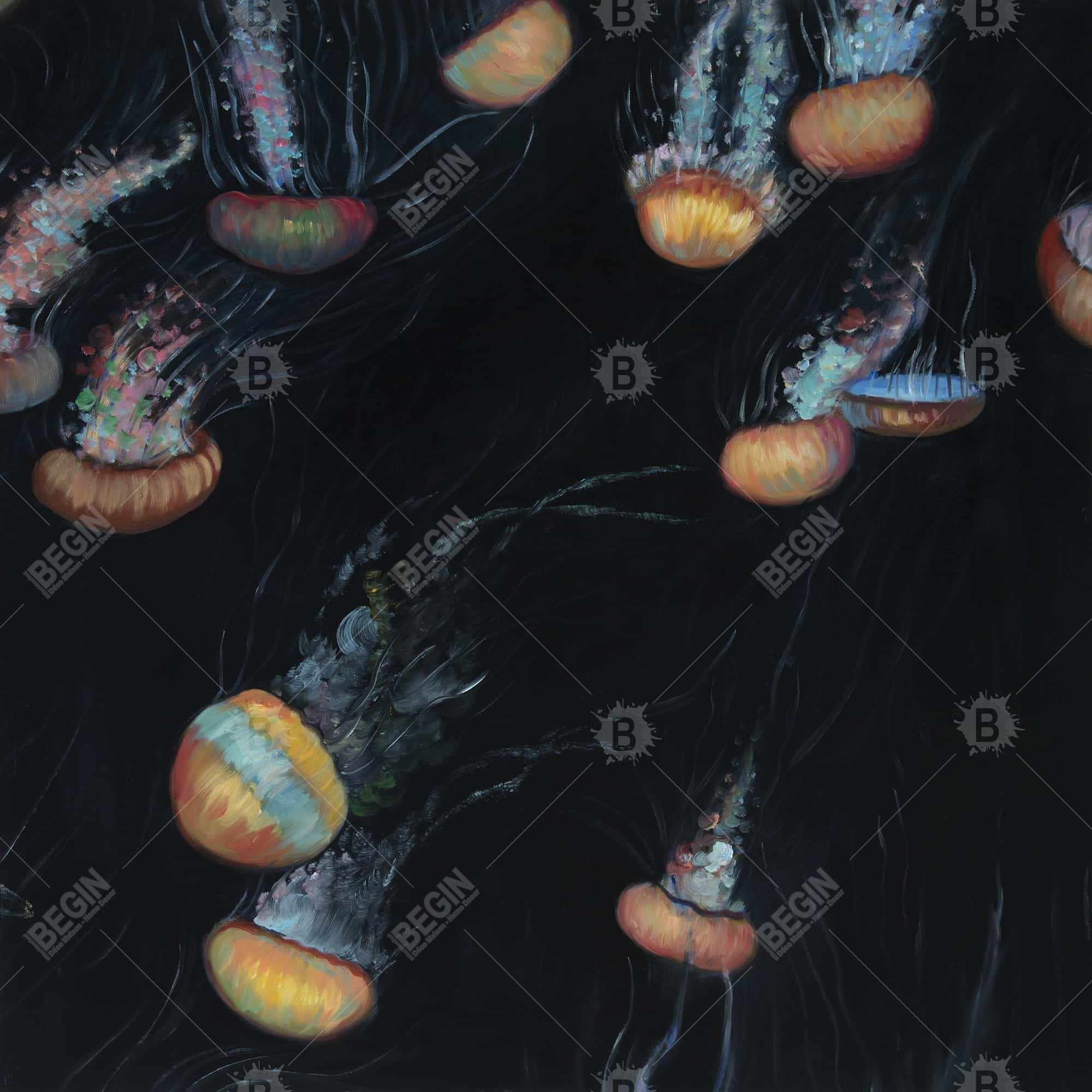 Colorful jellyfishes swimming in the dark