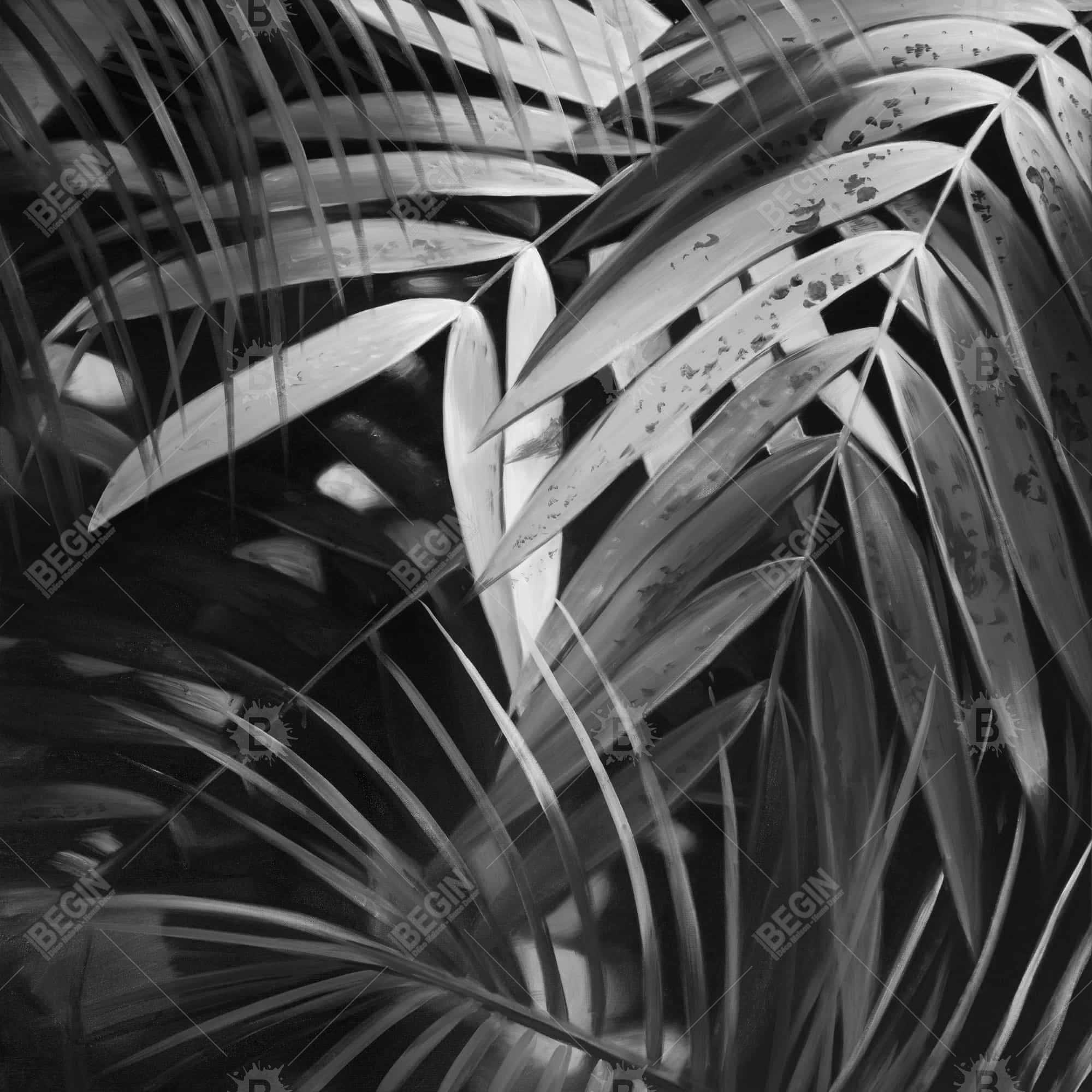 Feuilles tropicales monochrome