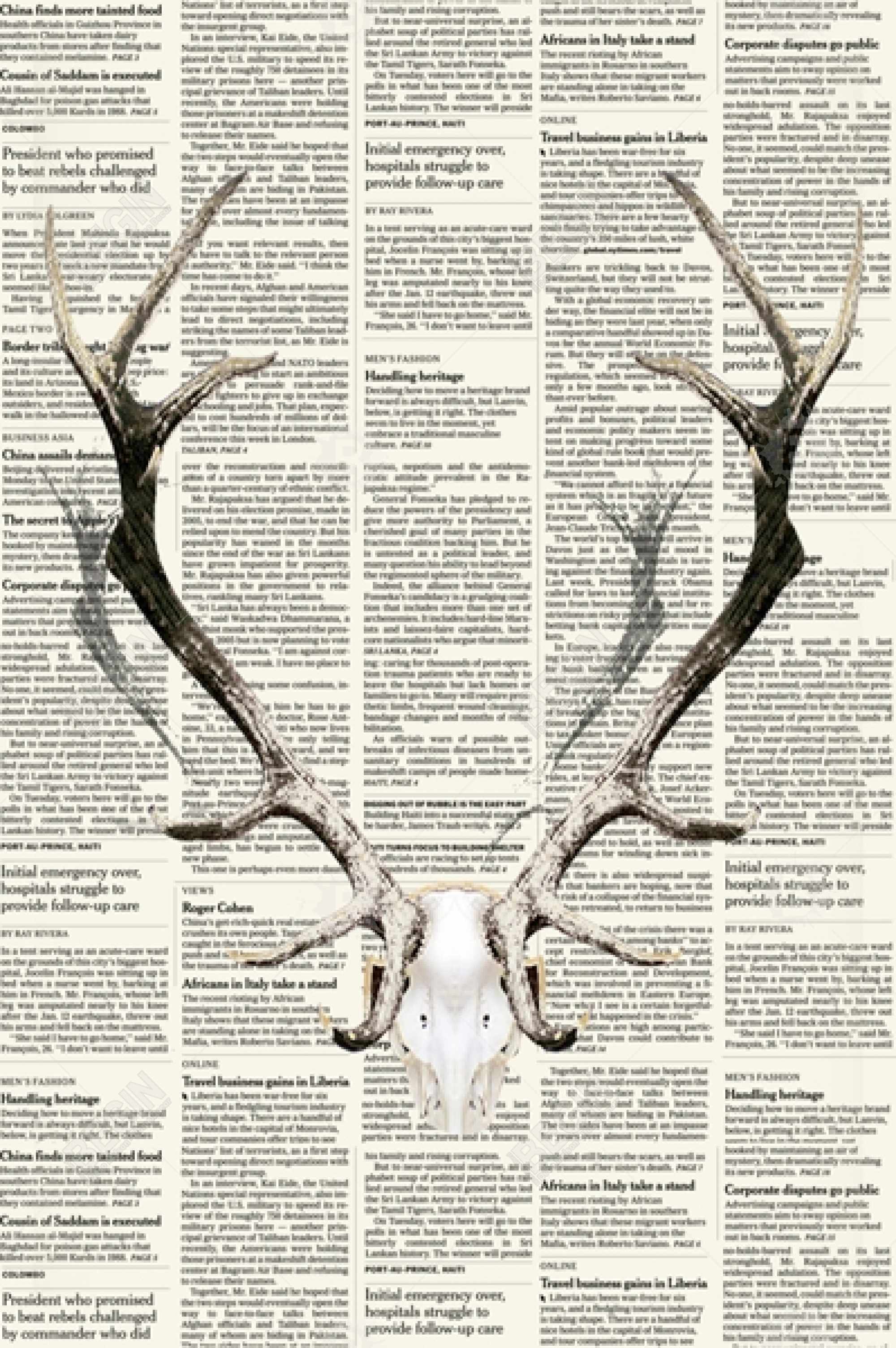 Bois de cerf sur papier journal