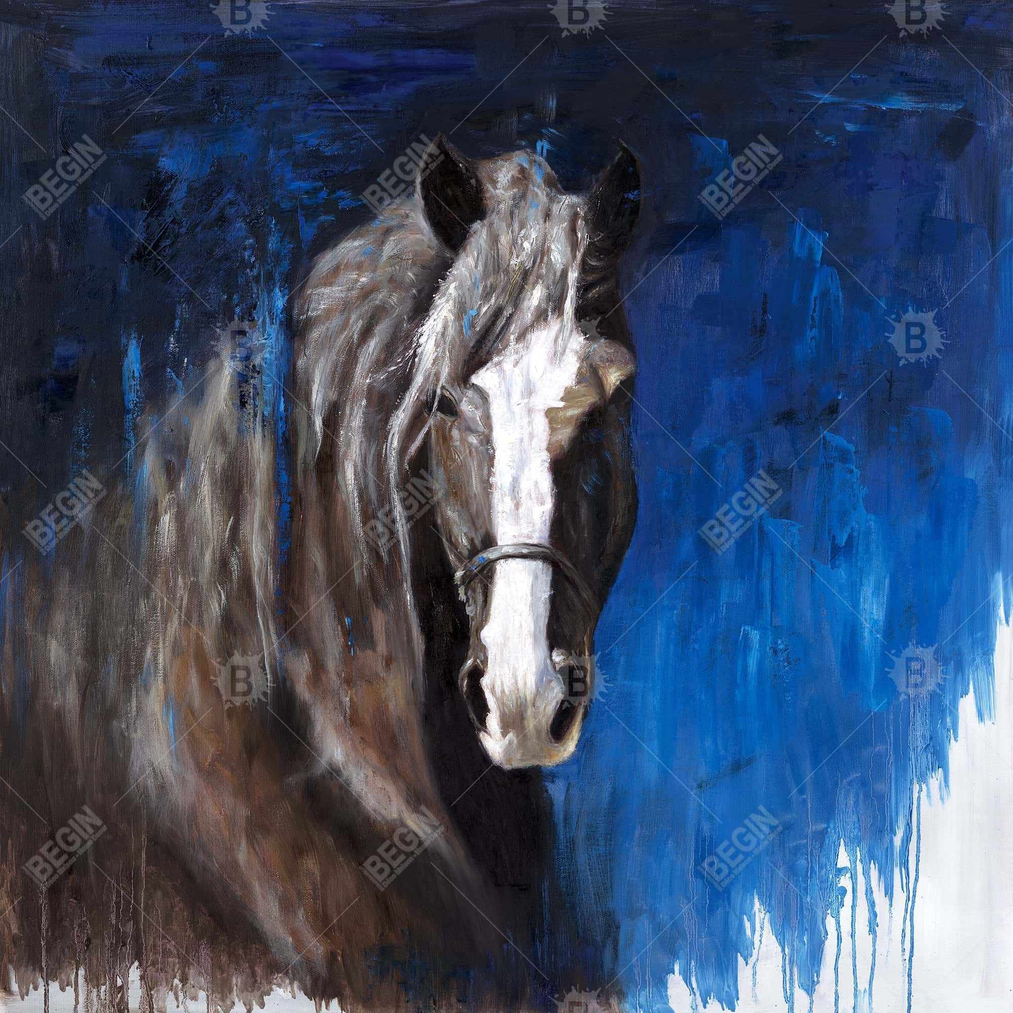 Cheval brun sur fond bleu