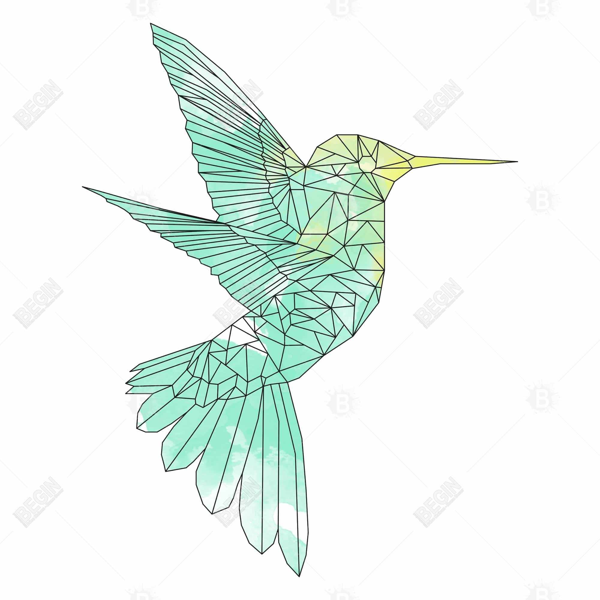 Geometric hummingbird