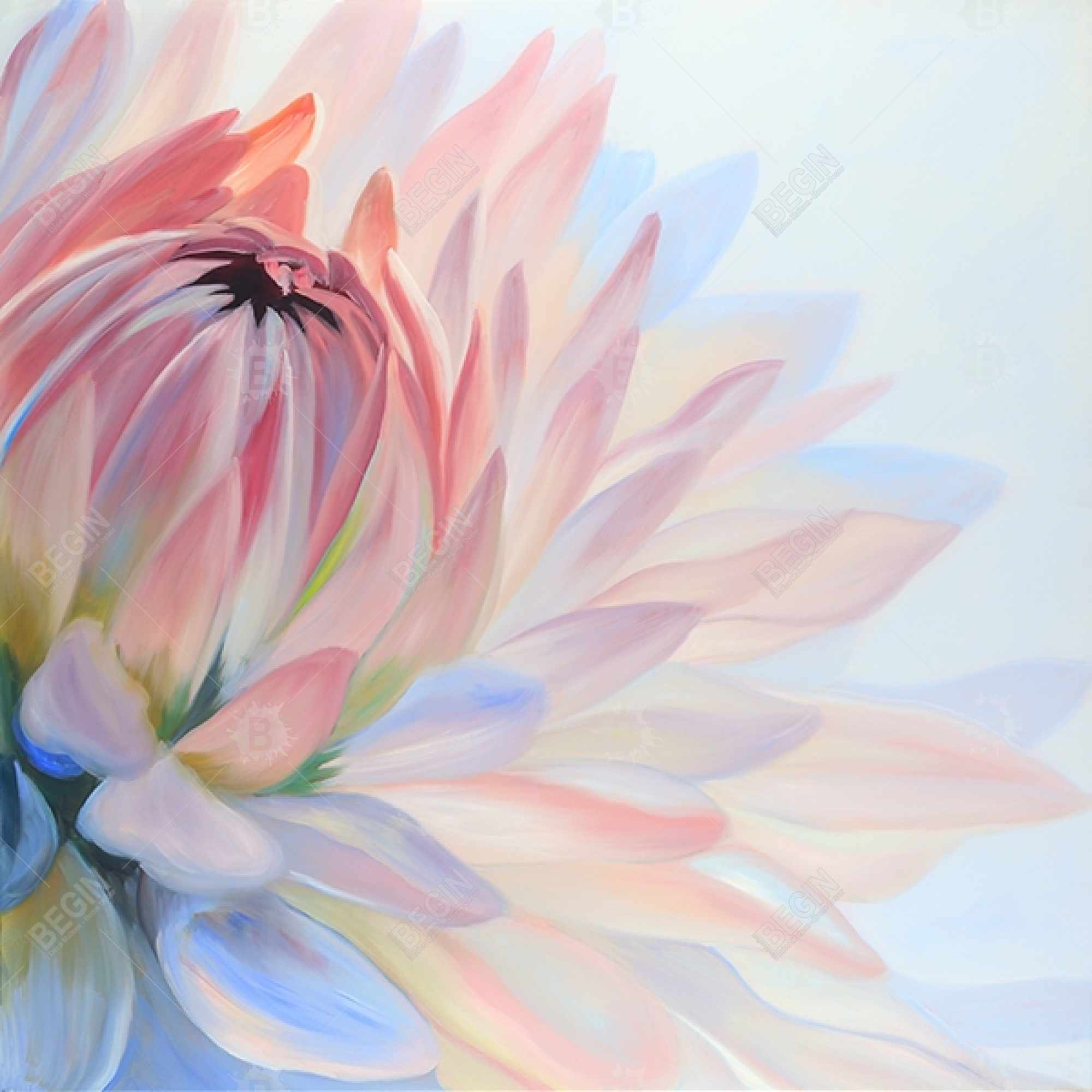 Fleur de lotus pastel