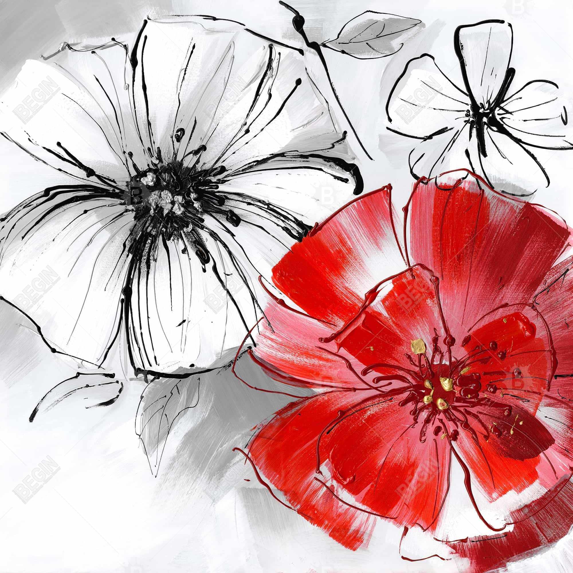 Esquisse de fleurs rouges et blanches